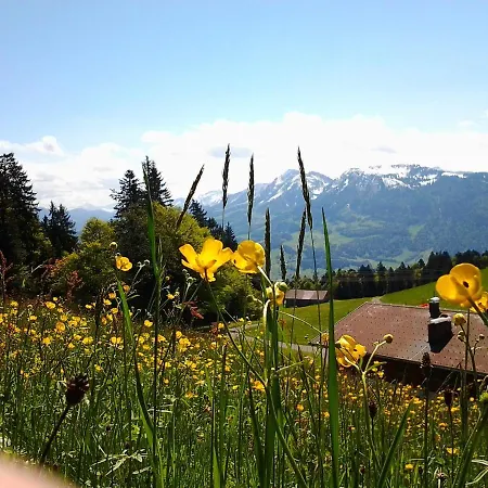 Schedlers Loewenhotel-garni 3* Alberschwende