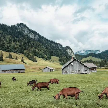 Schedlers Loewenhotel-garni Otel Alberschwende