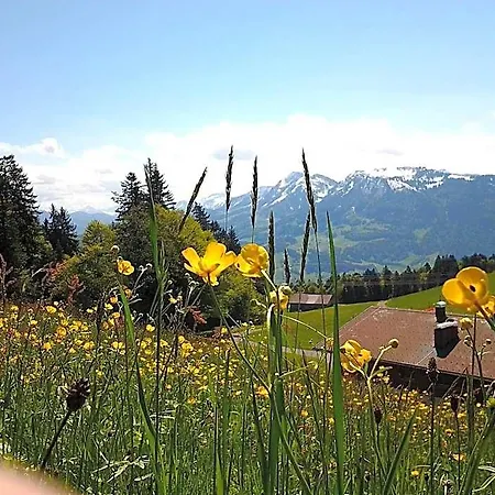 Hotel Schedlers Loewenhotel-garni